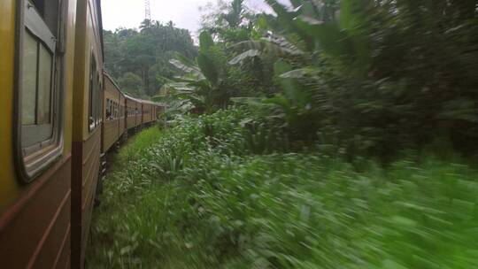 穿越丛林的斯里兰卡火车