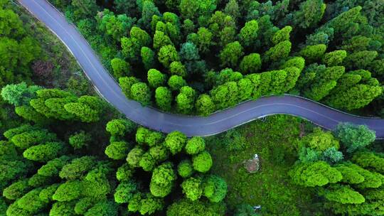 行驶在森林公路上的汽车和摩托车