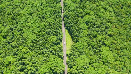 航拍自驾游汽车在森林中的公路上行驶