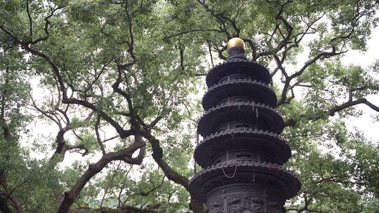 浙江普陀山法雨寺禅院建筑4K视频