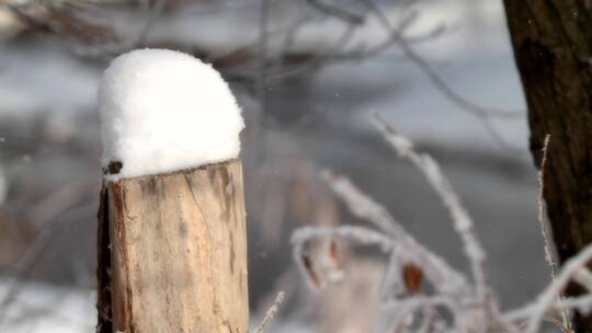 乡村栅栏柱上的积雪