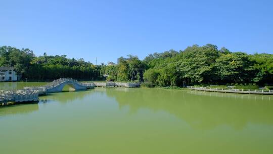 中式公园湖面湖水