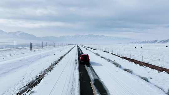 冬季新疆自驾 公路自驾 旅行 冰天雪地