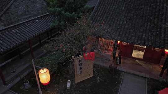 中式庭院 柿子树 夜景 灯笼 节日