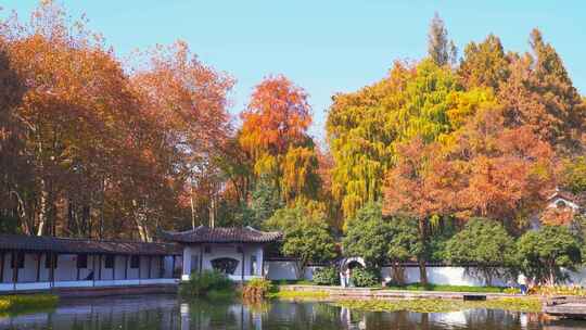 杭州西湖郭庄中式园林秋天风景