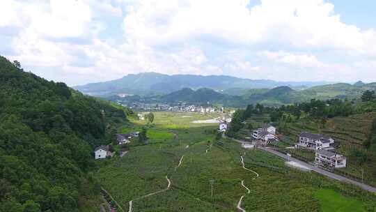 新农村 乡村振兴 美丽乡村 广袤种植基地