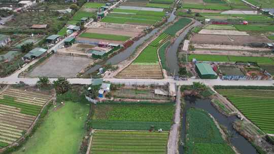 农业基地农作物种植航拍