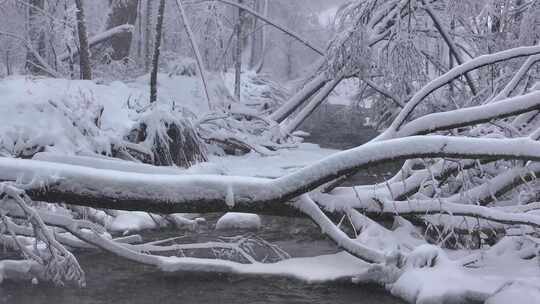 东北冬天长白山寒冷河流不冻河雾凇雪景