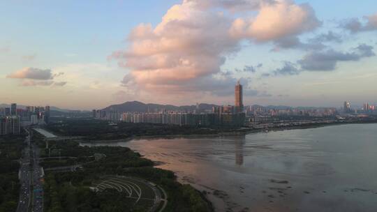 深圳 深圳宣传片 深圳湾科技生态园