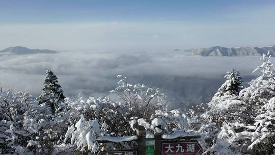 航拍湖北神农架冬季冬天阳光冰雪雪松雪景