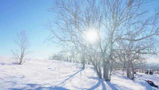 长白山冬季雪后风光