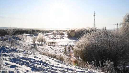 冬天逆光下的冰天雪地林地视频素材模板下载