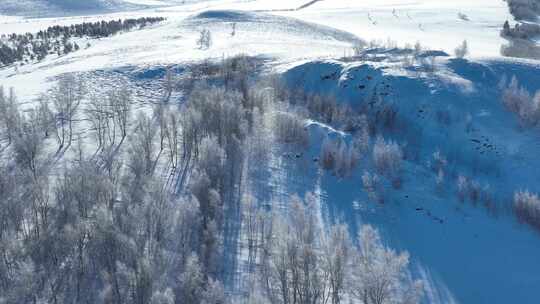 呼伦贝尔冬季自然风光丘陵山地雪原风景