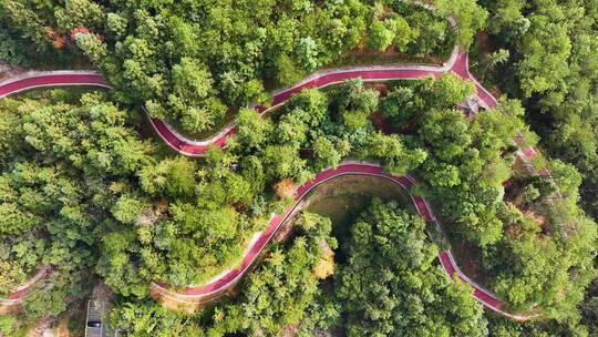 公园绿化跑步道散步休闲城市场景航拍骑行