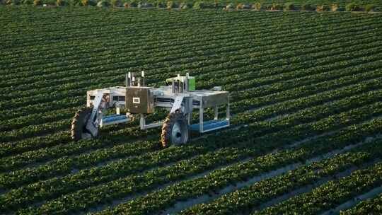现代农业 智慧农业 农业机器人 农业科技视频素材模板下载