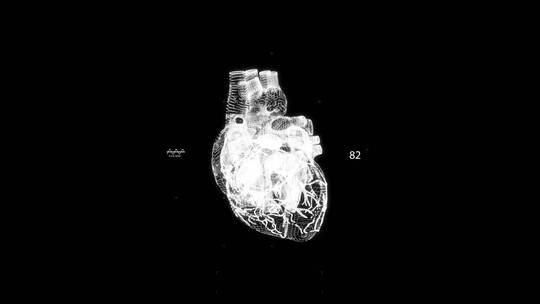 人体心脏视频素材模板下载