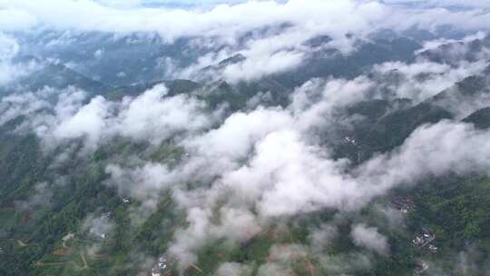 大雾清晨云雾大山云海森林自然云山脉山区