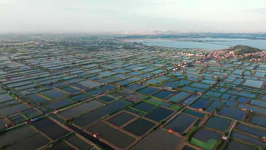 江汉平原大型水产养殖基地