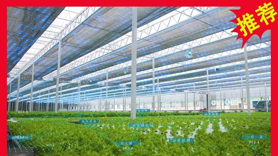 智慧数字化农业温室大棚