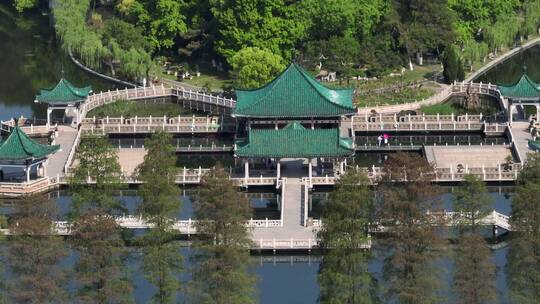 武汉东湖风景区，直推上升下摇镜头