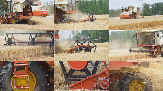 农业大丰收三夏生产收麦子视频素材模板下载