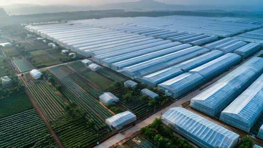 航拍农业大棚基地【4K】