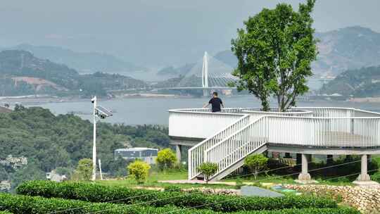 航拍福建宁德福鼎茶山白茶祖地