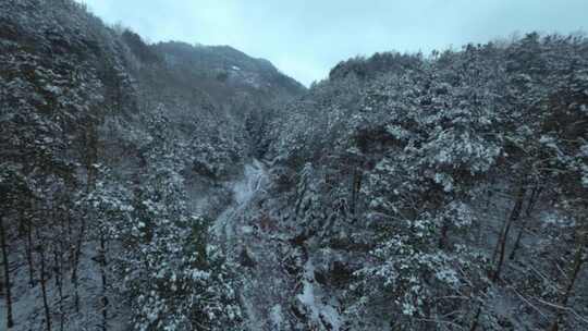 航拍山林雪景