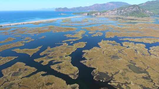 芦苇三角洲滨海空中沼泽湿地和湖泊