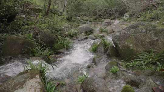山林间小溪的流水