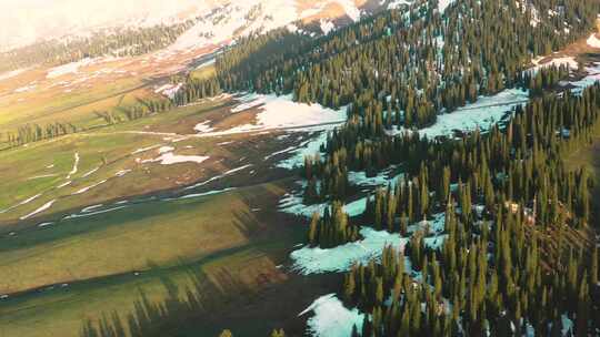 航拍新疆伊犁那拉提森林雪山