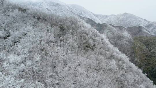 4K航拍 桂林黄金山雾凇