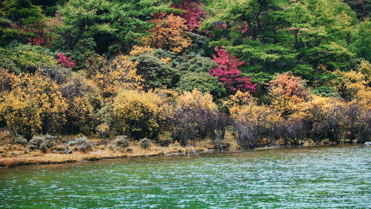 绿色湖泊西部山川风光