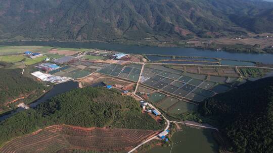 渔场 养殖鱼 生态鱼养殖基地