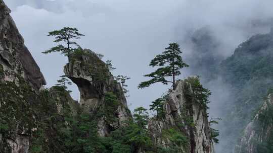 美丽中国河南老界岭自然风光