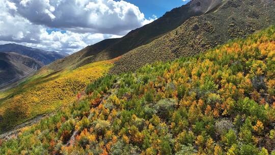 无人机航拍西藏林芝地区高山上的一抹秋景