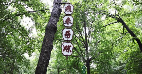 （慢镜）中国杭州灵隐寺下雨天