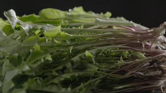 婆婆丁野菜LOG视频素材