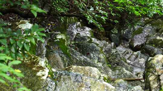 森林流水大自然小溪水瀑布山涧水源泉水山水