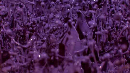 紫色油漆流体飞溅