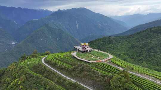 西藏墨脱县背崩乡格林村高山茶园风光航拍