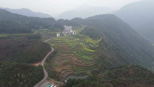 安徽江岭油菜花徽派建筑群航拍