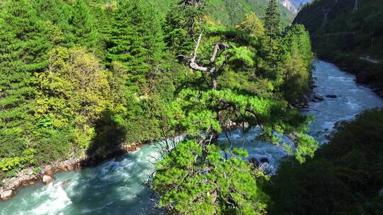 西藏察隅县秋天桑曲河清水河大峡谷