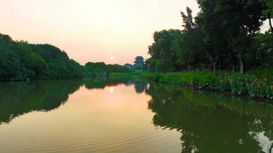 广州日出海珠湿地公园白鹭灰鹭水鸟