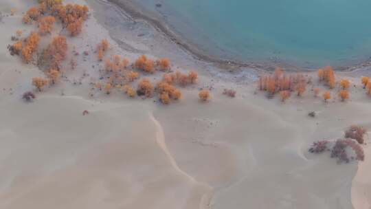 航拍秋天清晨的新疆罗布湖风景