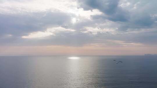 海上海鸥海上风景海上日出视频素材模板下载