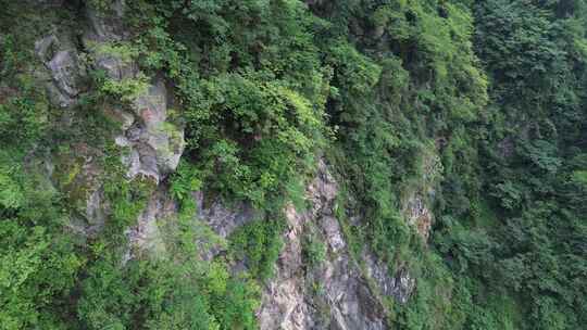 四川什邡蓥华山、蓥华大峡谷