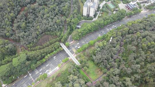 林间公路视频素材模板下载