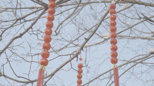 新年春节氛围视频素材模板下载