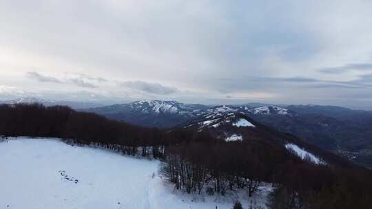 白雪覆盖的山上无叶树的无人机镜头